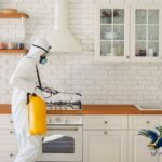 مكافحة الحشرات في الدمام