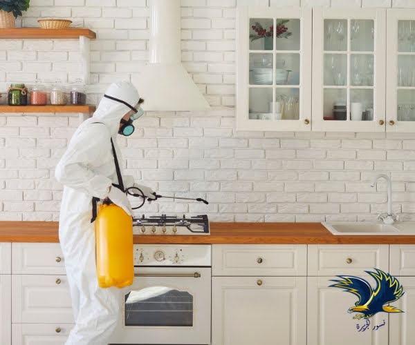 مكافحة الحشرات في الدمام